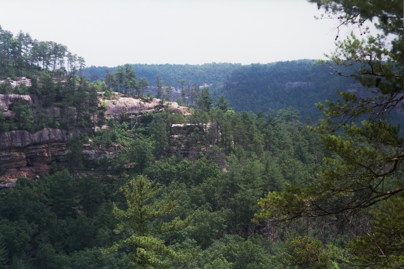 Gladie Creek &amp; Red River